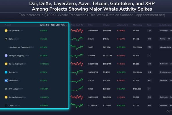 XRP Surges Past $3.2 As Whale Activity Spikes 81%